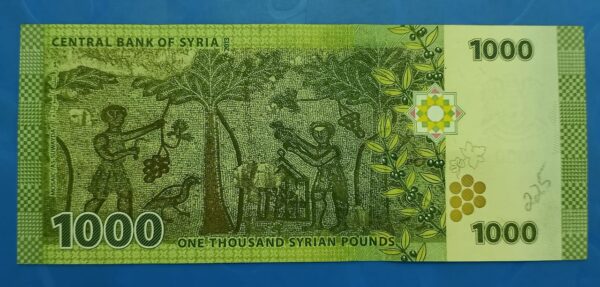 Syria - 1000 P - UNC - Image 2