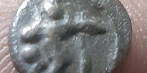Madurai Nayak - Sri Vira Coin - Kaliyamardhana Krishna