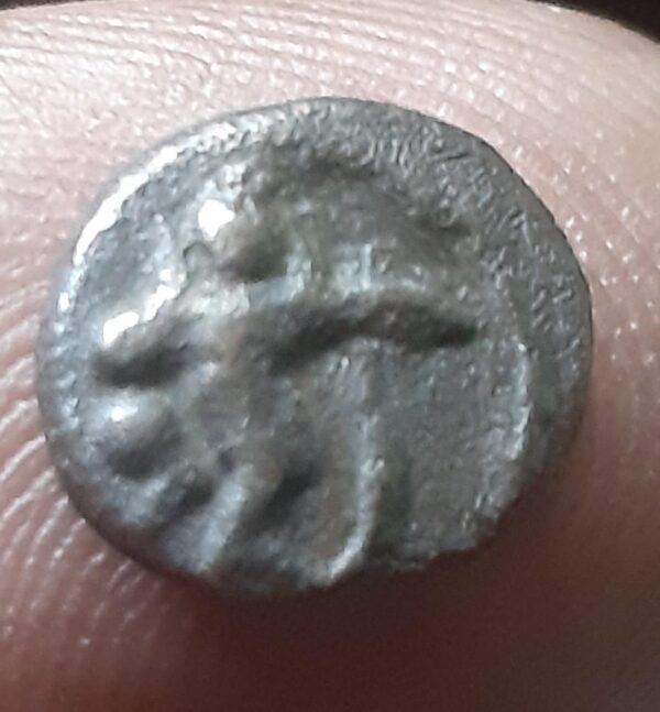 Madurai Nayak - Sri Vira Coin - Kaliyamardhana Krishna