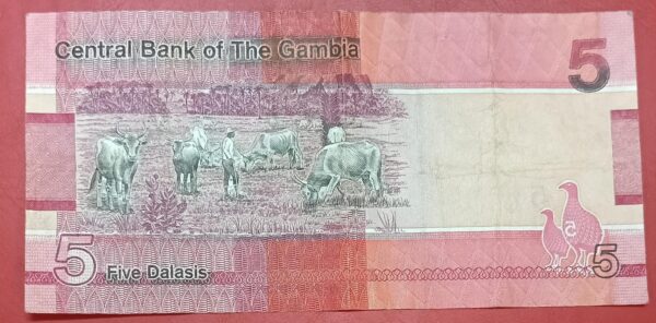 Gambia - 5 Dalasis - 2019 to 2023 issue - Used VF Condition - Image 2