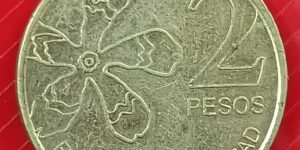 Argentina - 2 Pesos - Silk Flors Tree